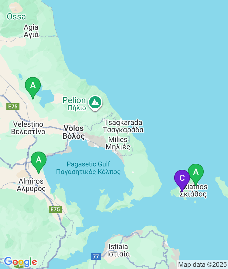 Skiathos Available Airport Options